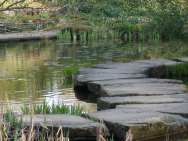 Steine im Wasser