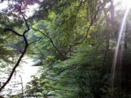 See am Steinbruch
