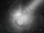 Yin Yang